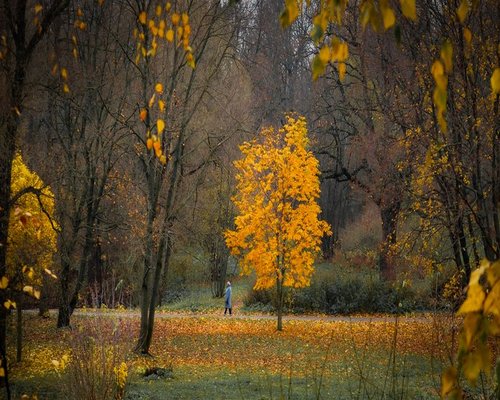 A person taking a calm walk in a local Polish park during autumn